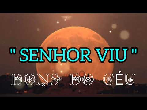 O Senhor Viu - Daniel