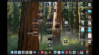 Live Chaos Coding:  Watch Lead Front End Developer