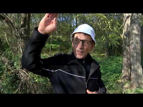 A është i besueshëm Milaim Bellanica? Dëshmia e tij u bë kryelajm i mediave më të mëdha në botë