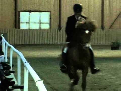 Tígull frá Gýgjarhóli