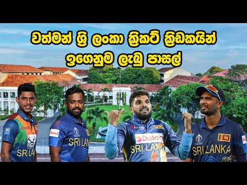 ශ්‍රී ලංකා ක්‍රිකට් ක්‍රීඩකයන් ඉගෙනුමලත් පාසැල්  | Sri Lankan Cricketers Schools #cricket