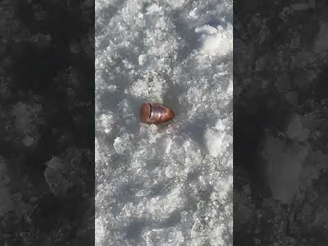 Spinning ice bullets with @Tier1Concealed High Speed footage on their channel