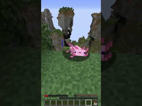 My pet axolotl tried to fly in Minecraft! 😳 #Shorts