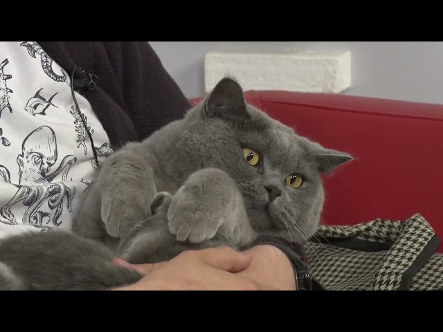 «Живая среда»