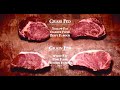 The Good the Bad and the Ugly about Protein.
