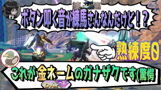 🔴上位帯プレイヤーのガナザクを見せてやりますよ【EW/ナイチン/オバブ】