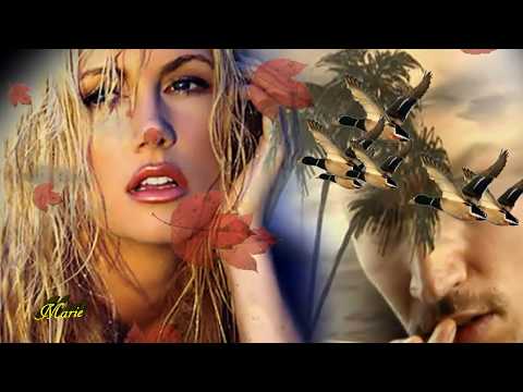 La Canción Que Te Dedico video