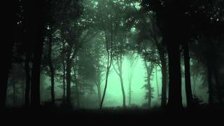 Klaus Schulze - Shadow Piece (Concert 1975-76)