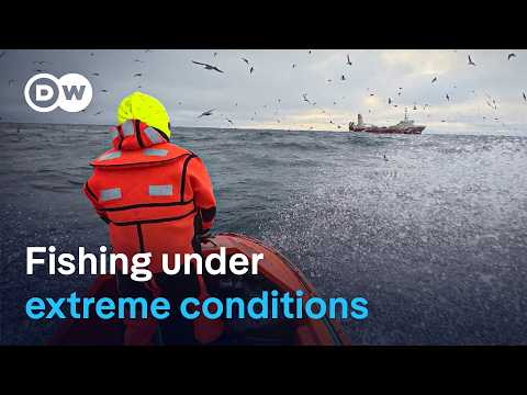 Backbreaking Work: Deep-Sea Fishing In The Arctic Ocean | Dw Documentary