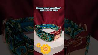 Žakárový skvost "Azure Flower" – obojek pro malé pejsky