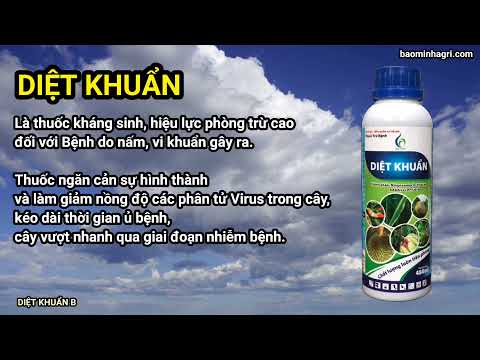 PHÒNG TRỪ BỆNH DO VI KHUẨN VÀ NẤM | DIỆT KHUẨN | Bảo Minh FE