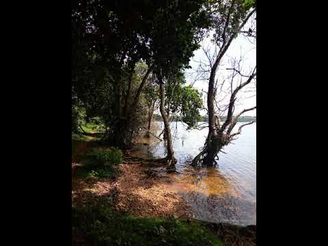 Kabaka Bulamu nga akubanjira mu bwa Walumbe