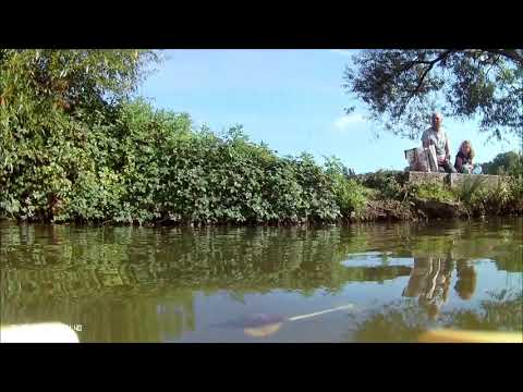 Ronald Binge Sailing by   ( On The Water  ).