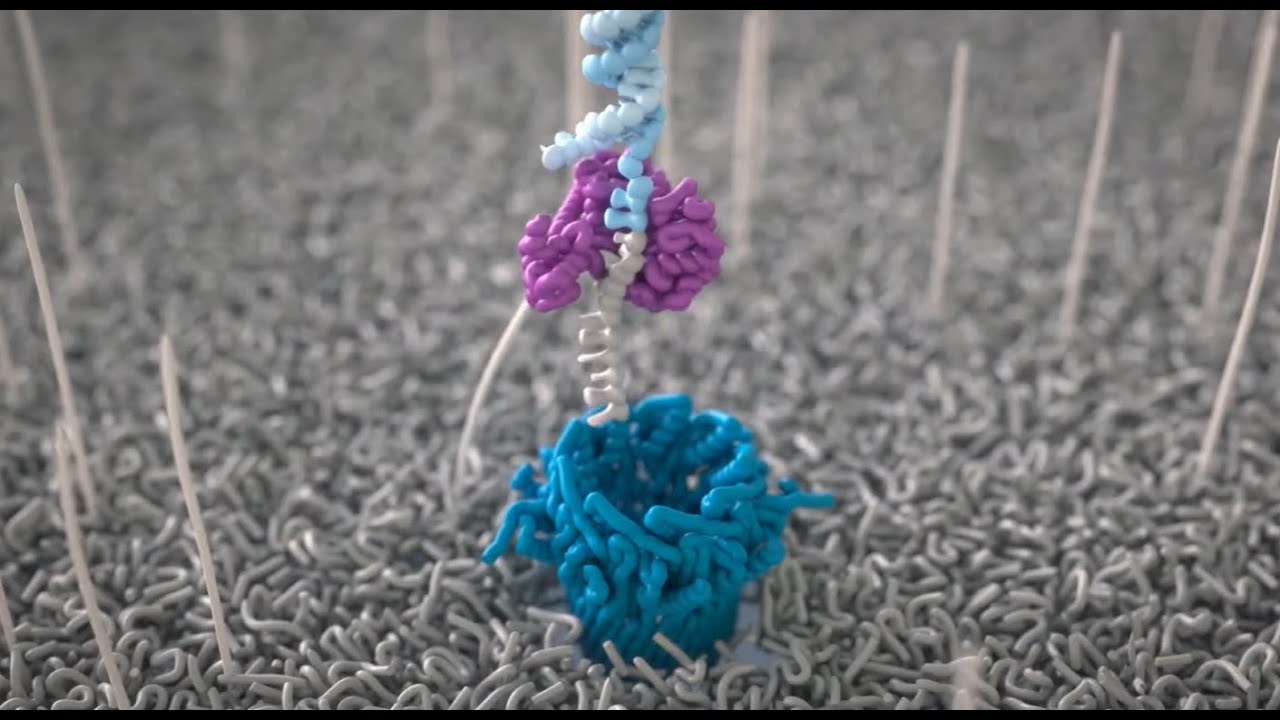 Adaptive sampling explained: the future of flexible target enrichment