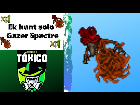 TIBIA: EK HUNT SOLO (GAZER SPECTRE) LVL 300+ 4.2KK/H 150%