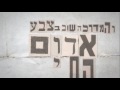   הדג נחש - עוד אח אחד - Od Ach Ehad - Official Video     