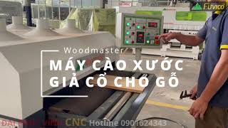 Máy cào xước giả cổ cho gỗ tự nhiên Woodmaster WM-1000DG4.