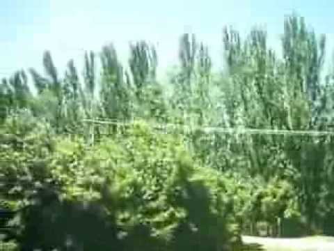 Riding XPT going though Wodonga