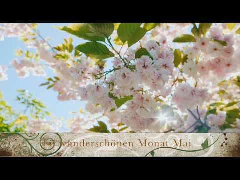 Aufführung – Thomas Salzmann