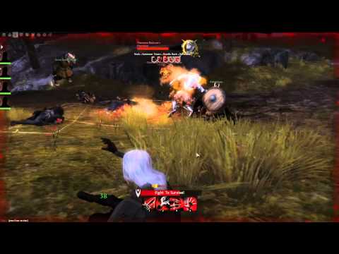 Guild Wars 2 - Theif Class - Boss Fight