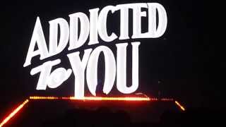 Avicii @ Paris Bercy - Addicted to you (Avicii Remix) - HQ