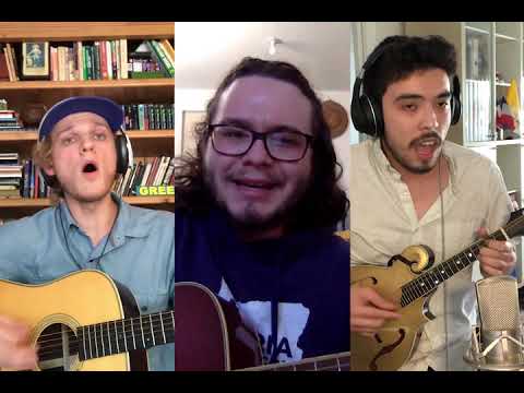 Corporate Bike Culture - Deodar Trees (MIRA Fest 2020)