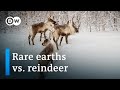 How rare earth mining threatens traditional ways of life in Sweden | Focus on Europe