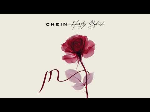 Hershy Bleich - CHEIN - הערשי בלייך חן (Prod by. Yanky Steinmetz) 