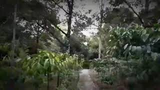 preview picture of video 'Wisata air terjun curug lesung tanjung heran'