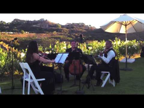 Sweet Disposition (Temper Trap) - Organic String Quartet - Wedding String Quartet