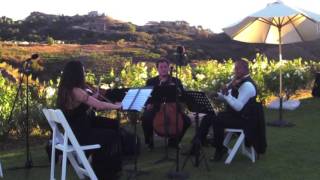 Sweet Disposition (Temper Trap) - Organic String Quartet - Wedding String Quartet