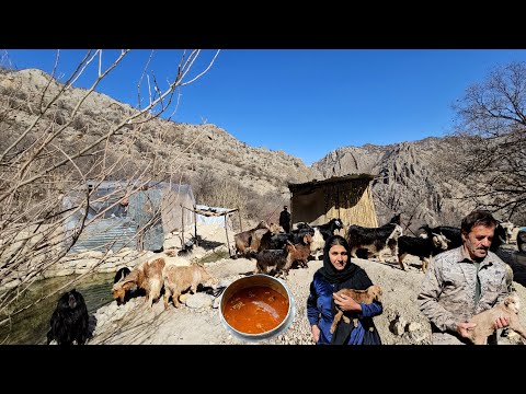 "185 days of real life with Iranian nomads; from zero to survival hero in the wild!"