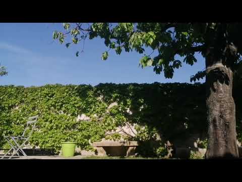 Séance de Sophrologie pour se détendre physiquement et mentalement