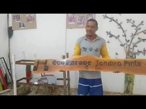 Sitio pindobal  mamanguape paraiba 27 11 2025