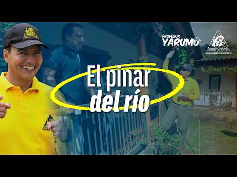 LAS AVENTURAS DEL PROFESOR YARUMO: EL PINAR DEL RÍO