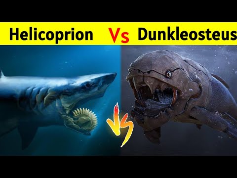 Helicoprion Vs Dunkleosteus | क्या होगा जब भिड़ेंगे Megalodon Shark से भी खतरनाक Monster