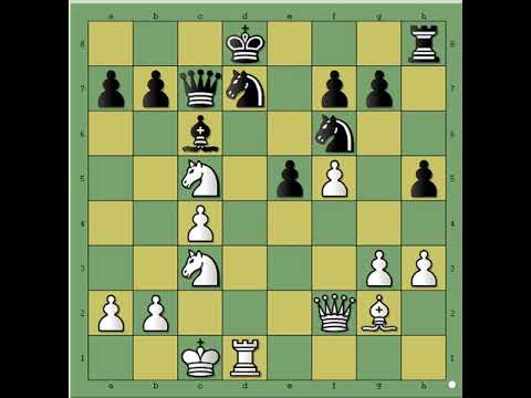 Mirnom razmenom iskoristio je  pravi trenutak za napad ● KORCHNOI vs ZILBER # 1963