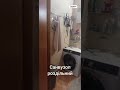 Видео превью