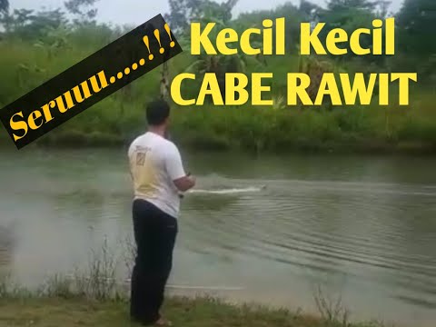NGERI...!!! RC BOAT KECIL ANTI TENGGELAM,@HobykuNglayap_Chanel