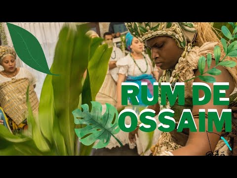 Rum de Ossain no Asé Ylê Aiyê Ojú Odé Igbó (Odun Íjè Carol D'Ossain)