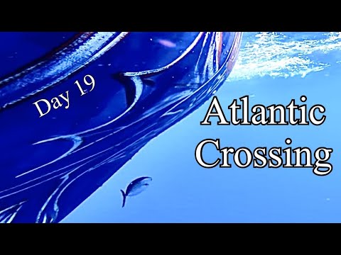 Look What we Found!!? | Sailing Wisdom [S3 Ep32]