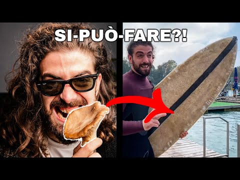 Can you SURF a MUSHROOM?