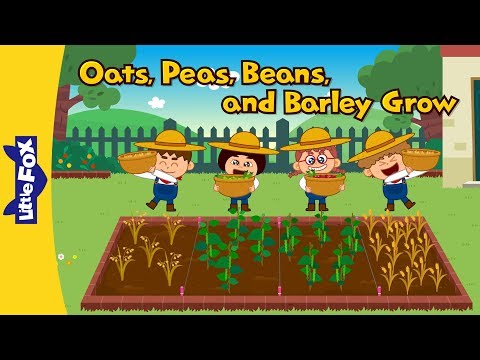 , title : 'Oats, Peas, Beans, and Barley Grow | Learning Songs | Little Fox | Animated Songs for Kids'