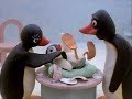 Pingu English New Episodes 28