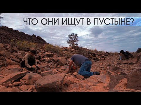 АРХИВ ЛАИ: Дневник экспедиции к Глазу Сахары. Февраль 2025