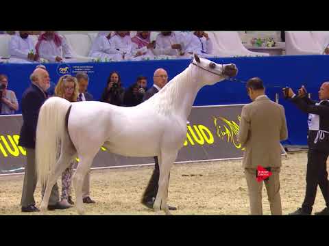 222 LOLA OS Dubai 2018