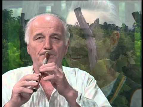 O Krajino lepotice   Vitomir Stanojevic