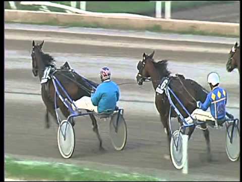 Trotto 15/10/2015 - 7° corsa