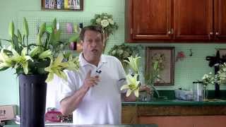 Extend The Life Of Your Lilies