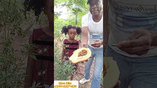 Worm Killer #herbalmedicine atfollowers